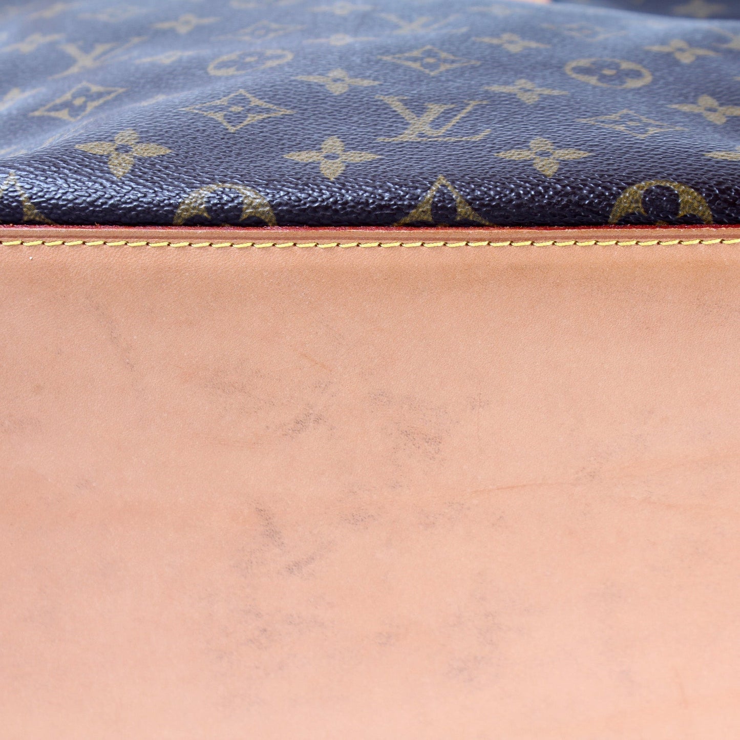 Cabas Mezzo Monogram