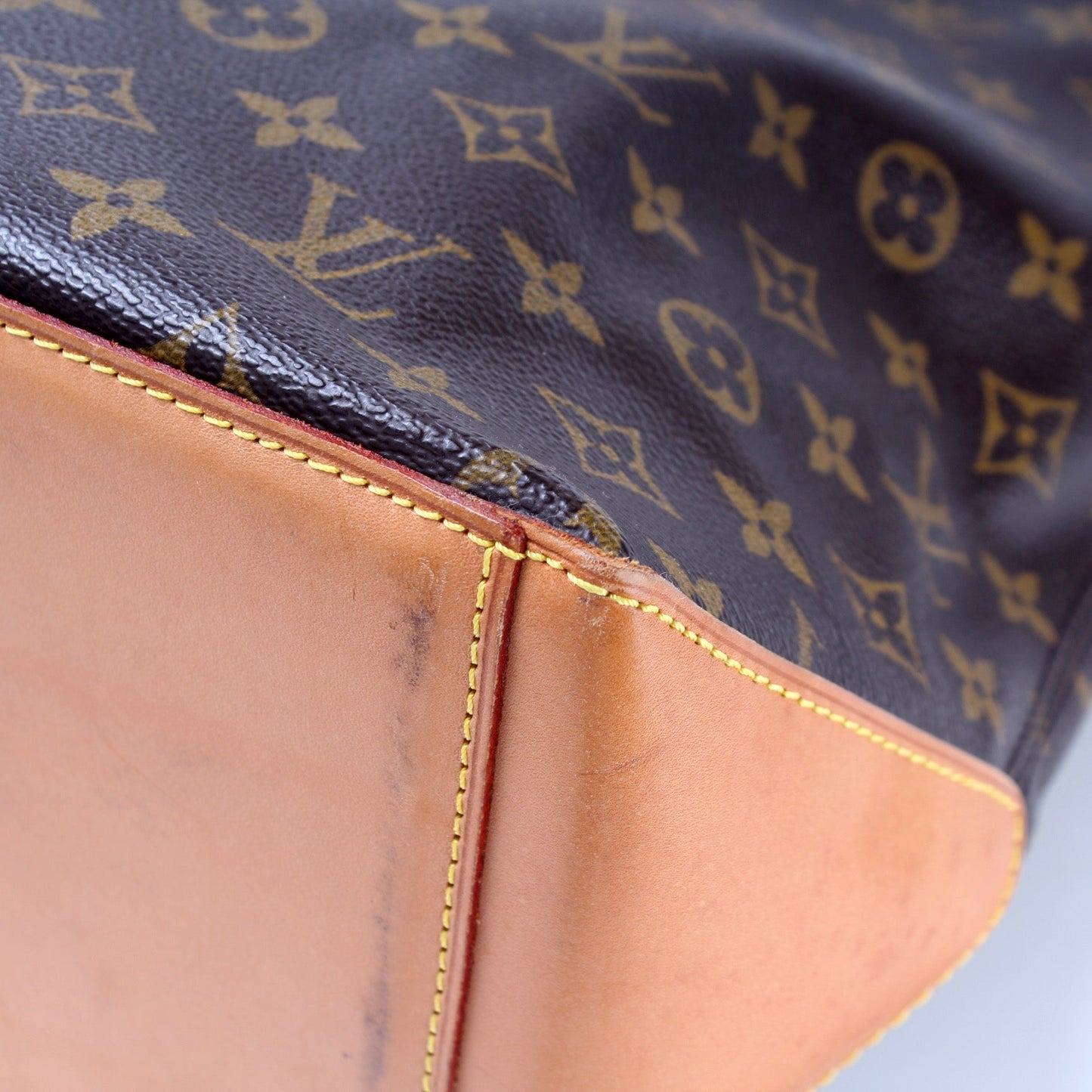 Cabas Mezzo Monogram