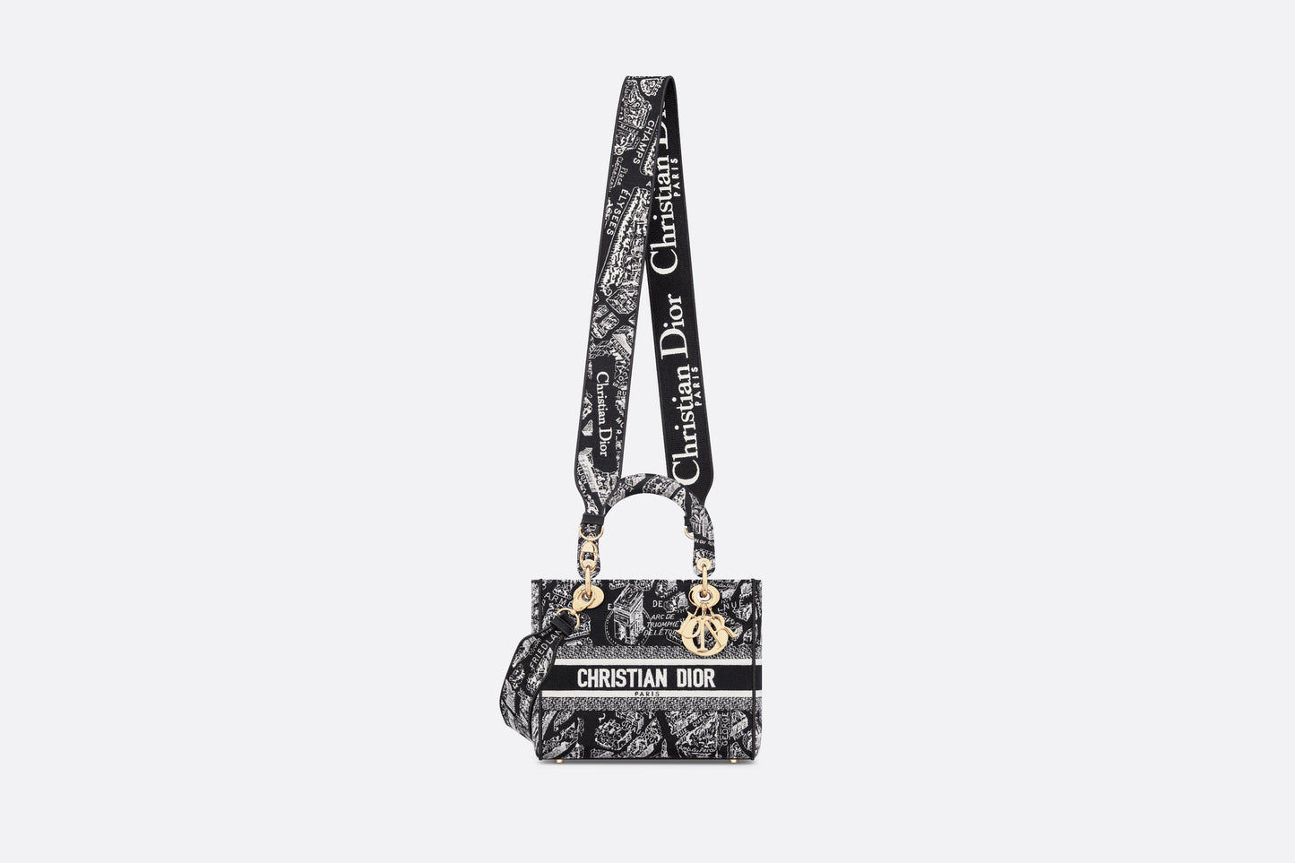 Medium Lady D-Lite Bag • Black and White Plan de Paris Embroidery