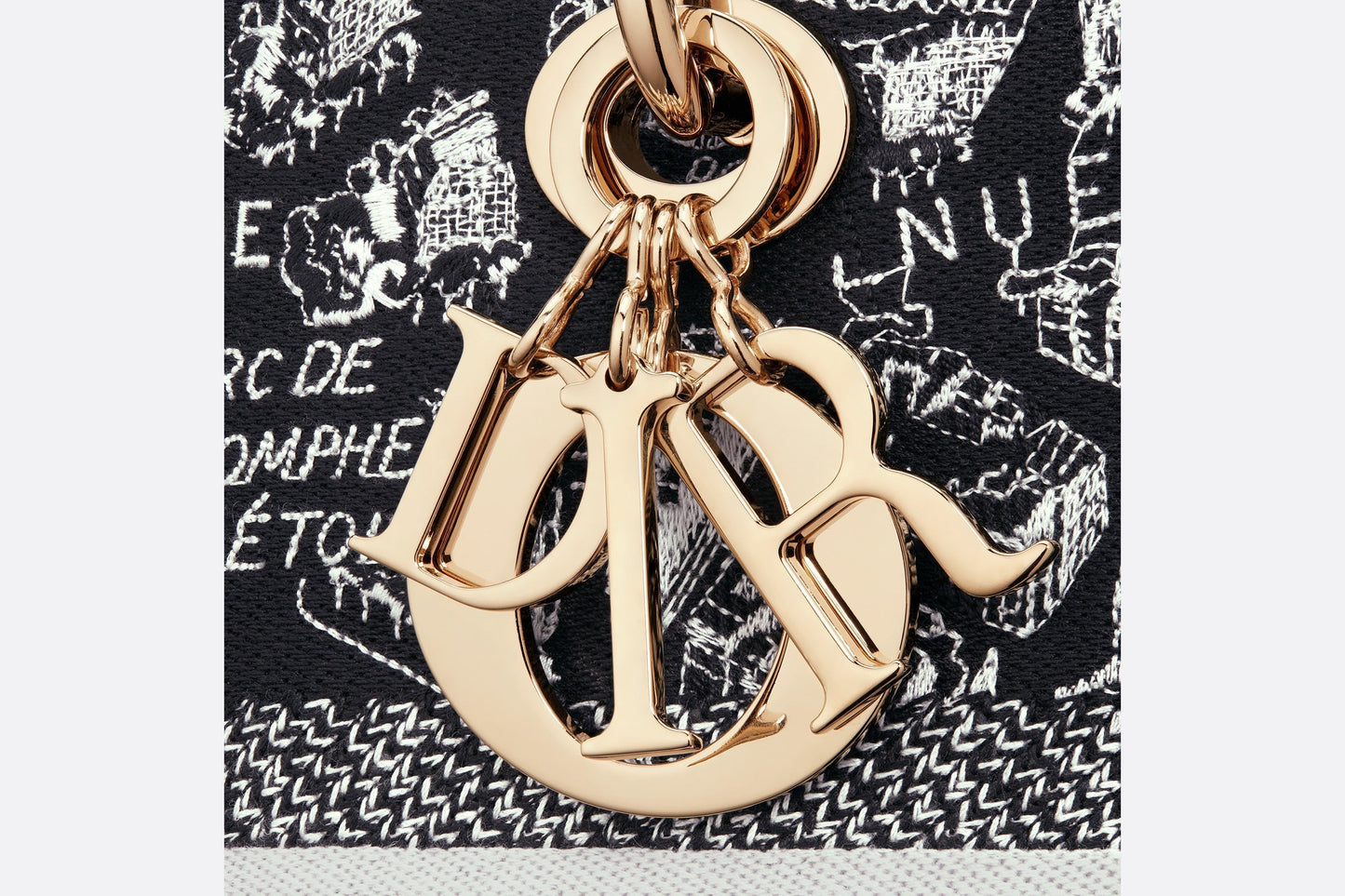 Medium Lady D-Lite Bag • Black and White Plan de Paris Embroidery