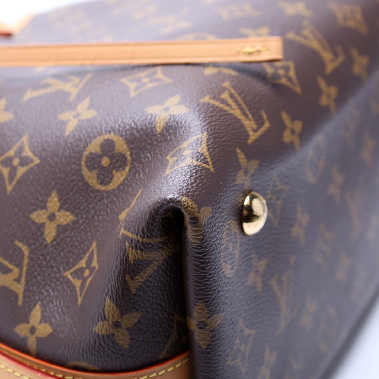 Carryall PM Monogram