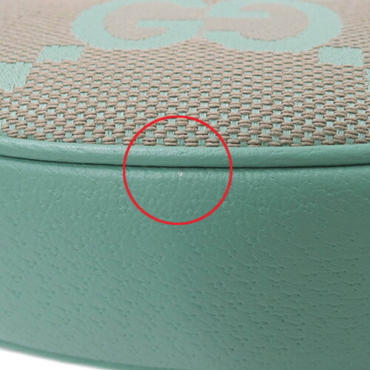 Gucci Gg Canvas Beige Green Gg Canvas Handbag Shoulder Bag ()