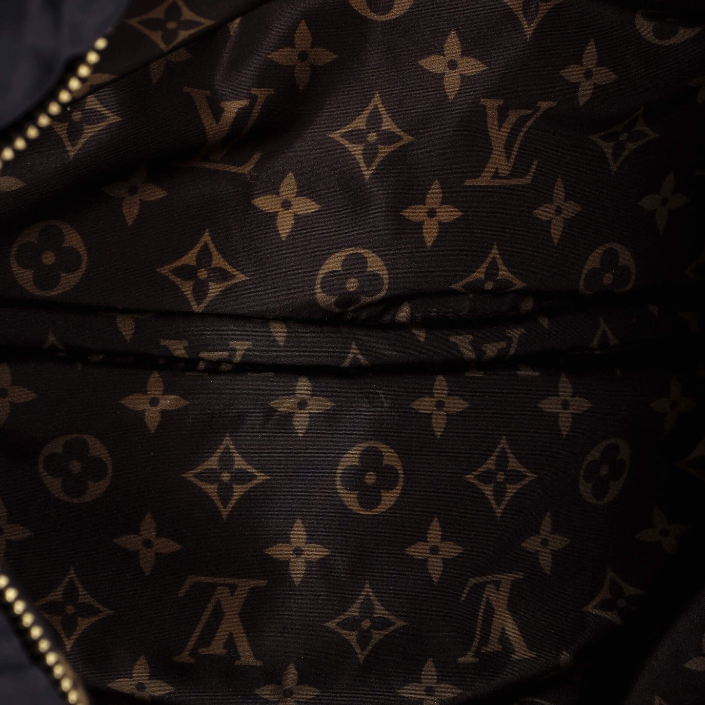 Maxi Multi Pochette Accessoires Monogram Quilted Econyl Nylon