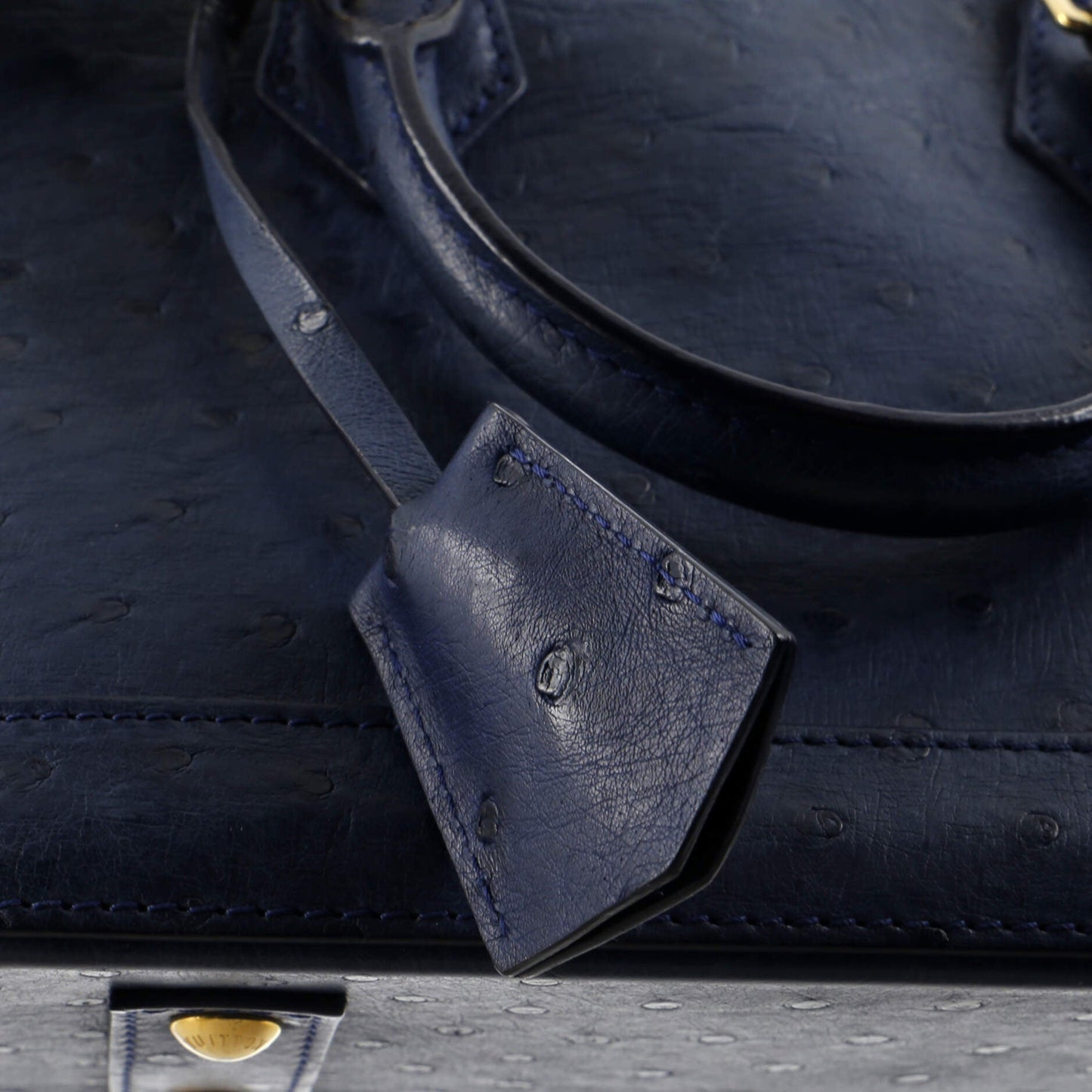 Alma Handbag Ostrich BB