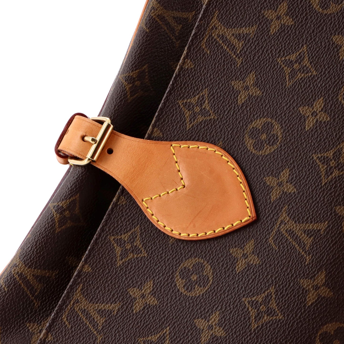 Cartouchiere Handbag Monogram Canvas GM