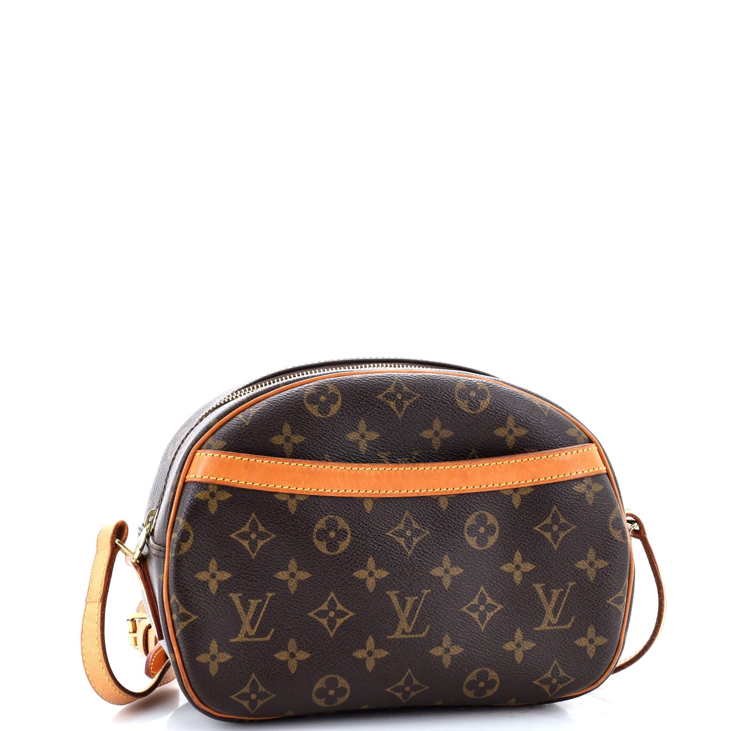 Blois Handbag Monogram Canvas