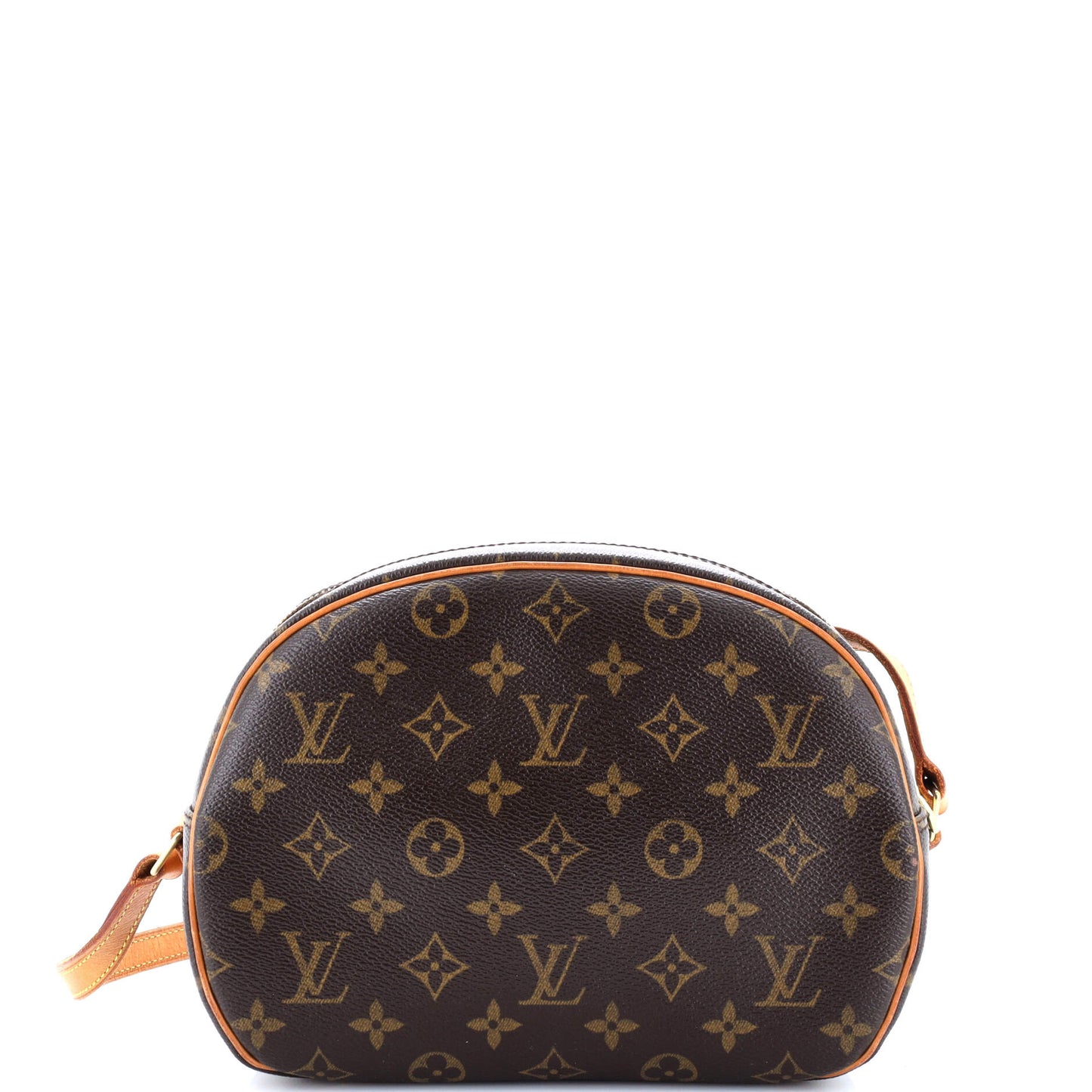Blois Handbag Monogram Canvas