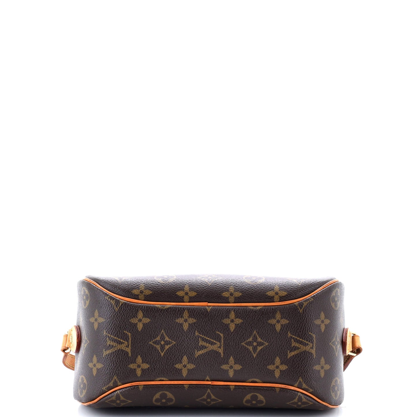 Blois Handbag Monogram Canvas