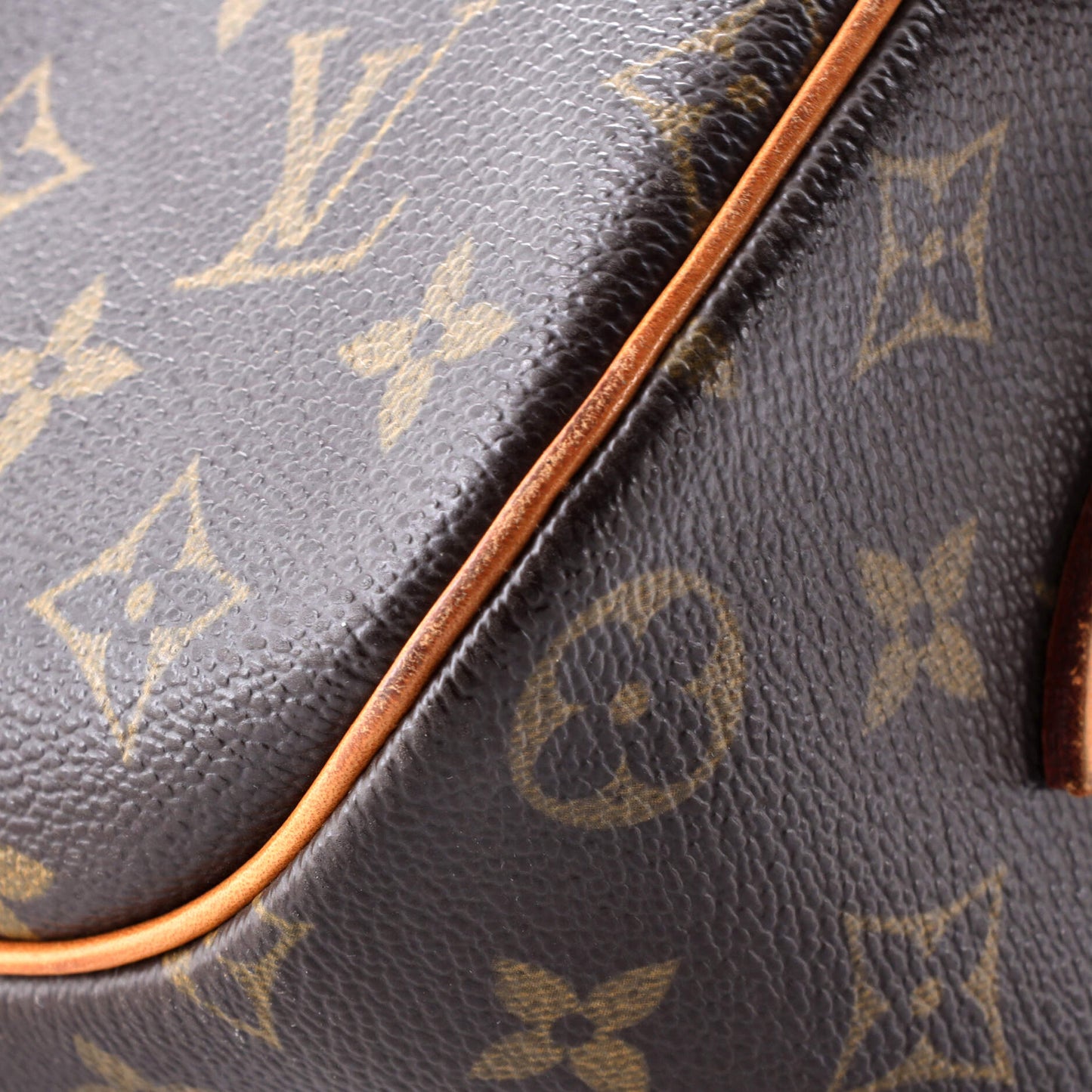 Blois Handbag Monogram Canvas