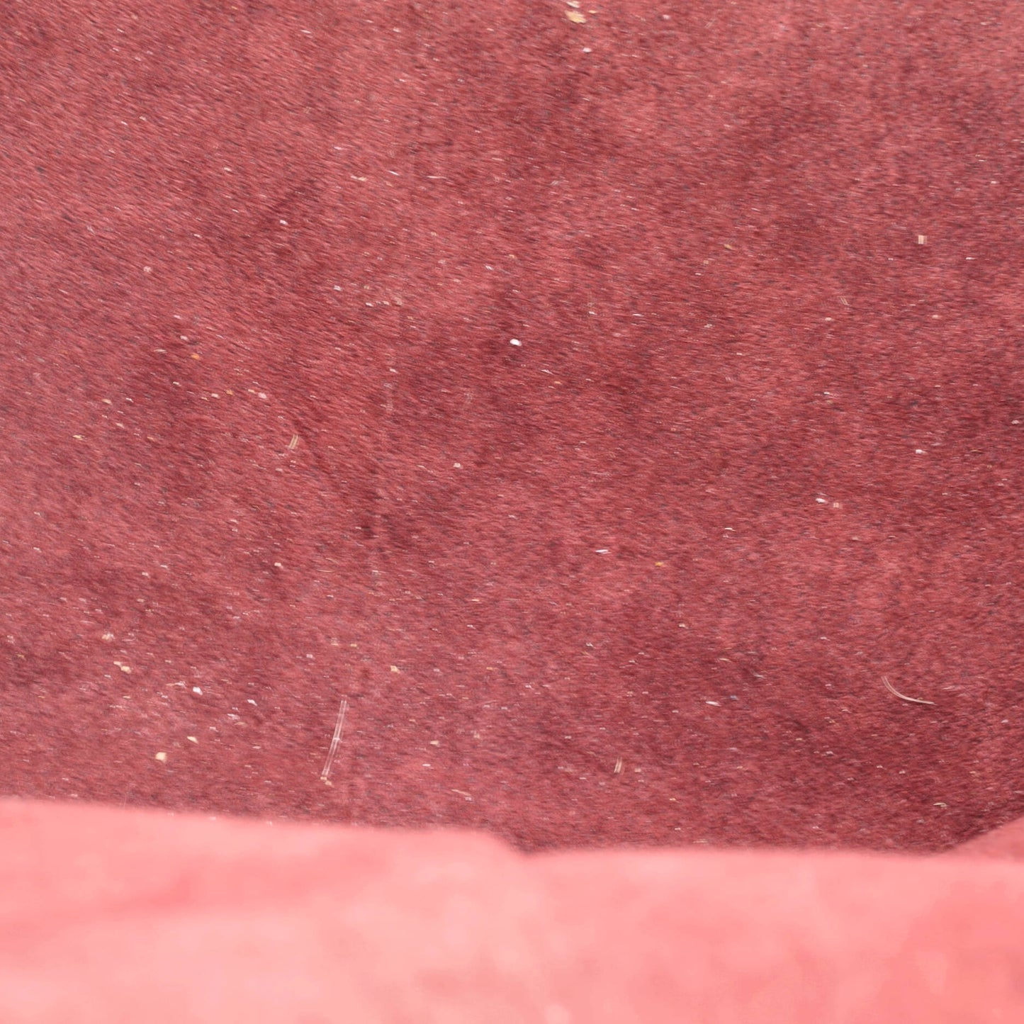 CarryAll Hobo Monogram Canvas MM