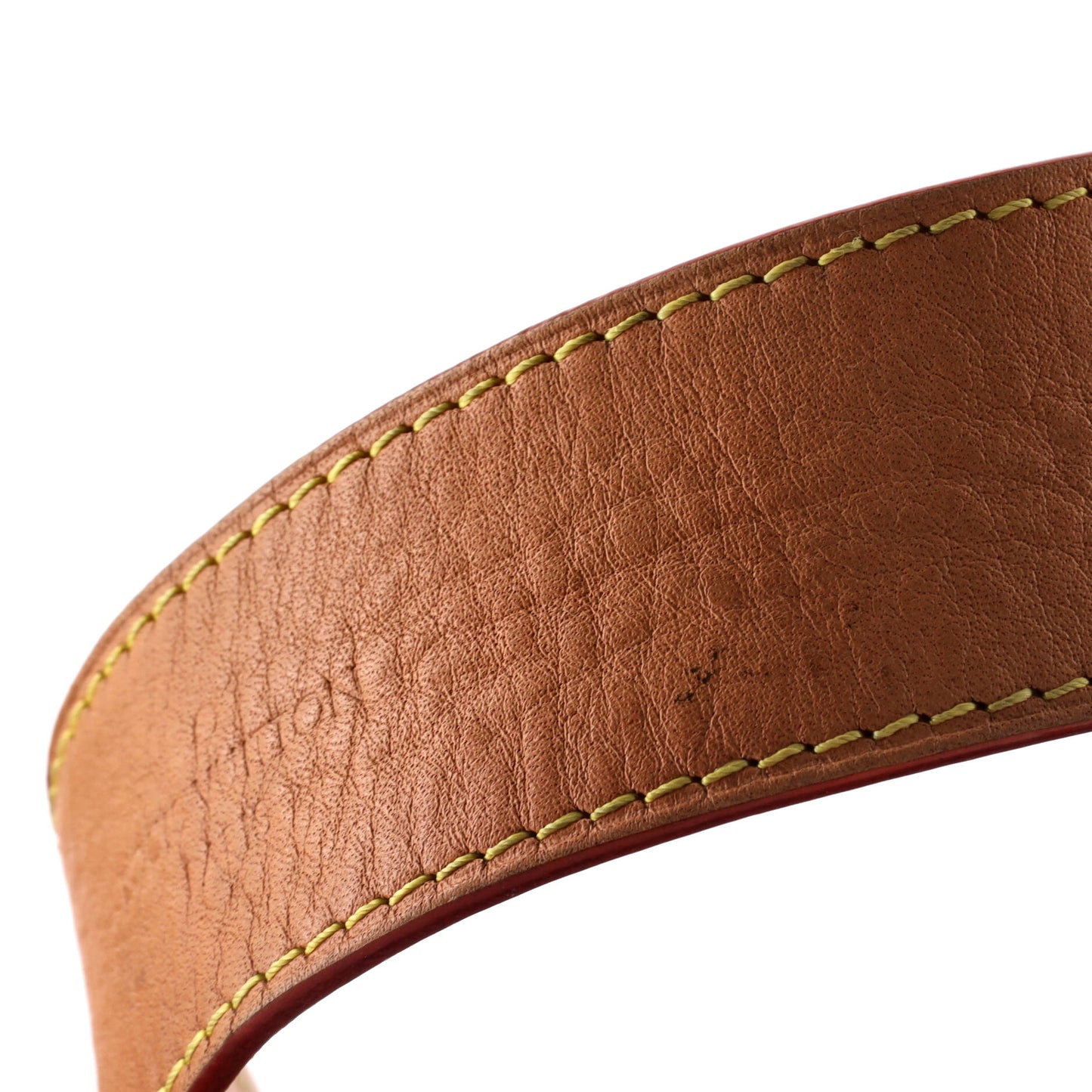 CarryAll Hobo Monogram Canvas MM