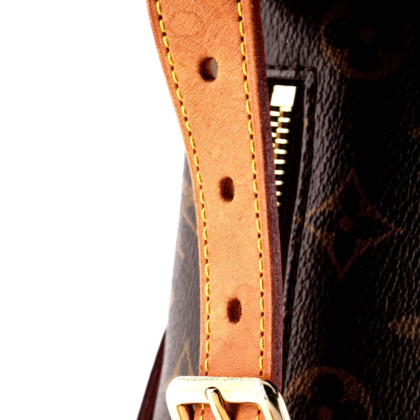 Bum Bag Monogram Canvas