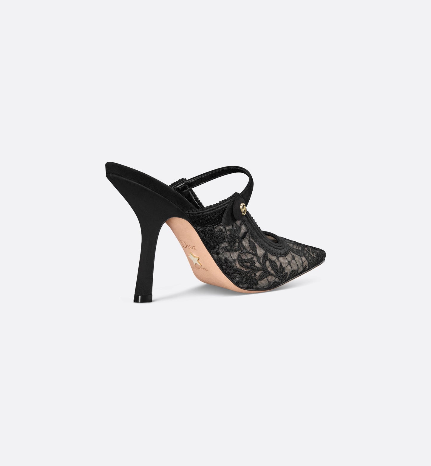 Dior Capture Heeled Mule • Transparent Mesh Embroidered with Black Butterfly Motif and Suede Calfskin