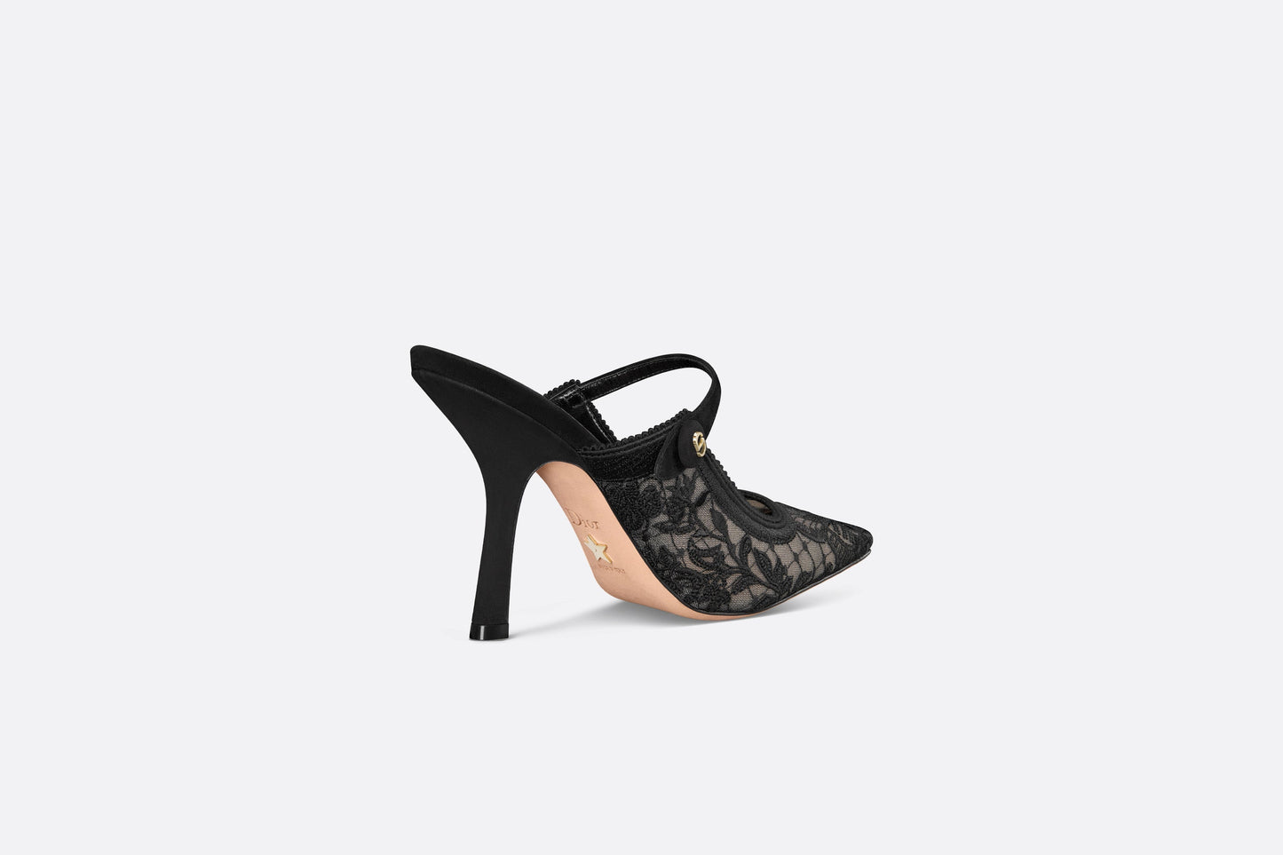 Dior Capture Heeled Mule • Transparent Mesh Embroidered with Black Butterfly Motif and Suede Calfskin