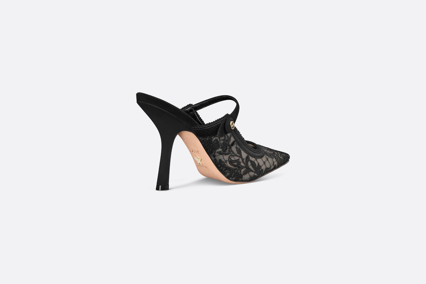 Dior Capture Heeled Mule • Transparent Mesh Embroidered with Black Butterfly Motif and Suede Calfskin