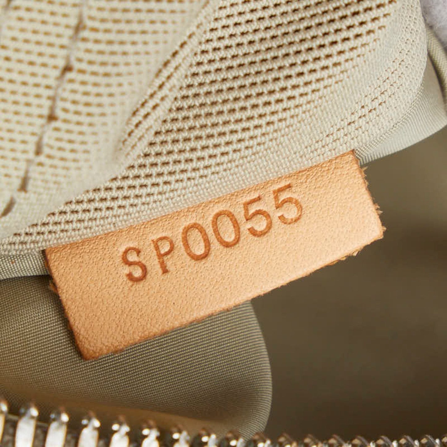 Louis Vuitton Citadine  Canvas Shopper Bag ()