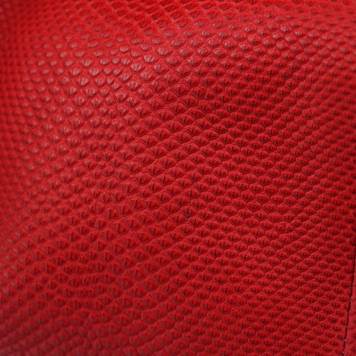 Red Lizard Embossed Dual Handle Bag