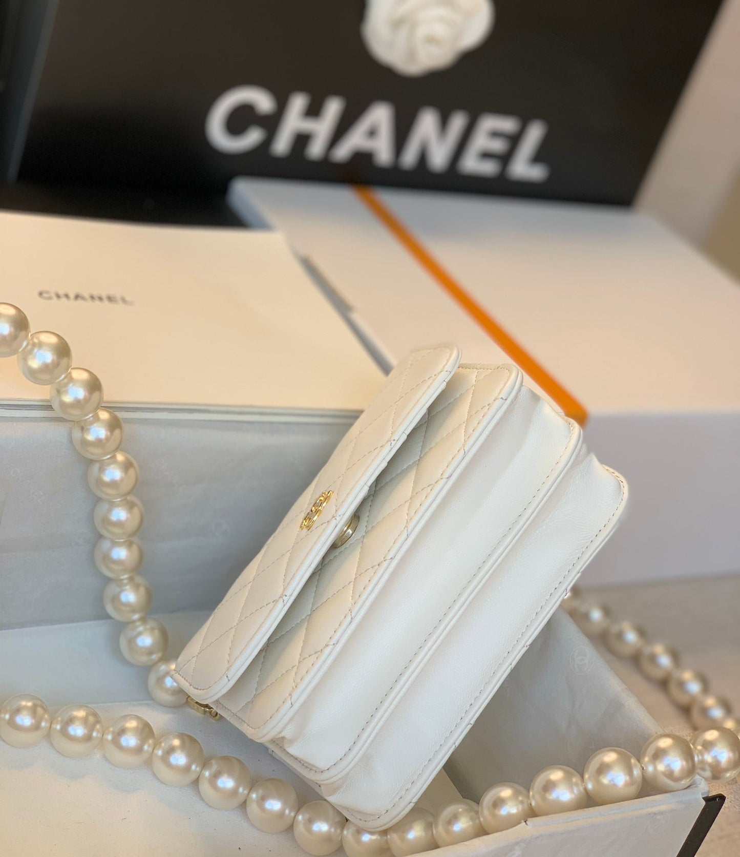 Chanel - Luxury Bag - CHL - 834